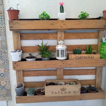 Santa Catarina Patio Apartment - With Washer Machine Πόρτο Εξωτερικό φωτογραφία
