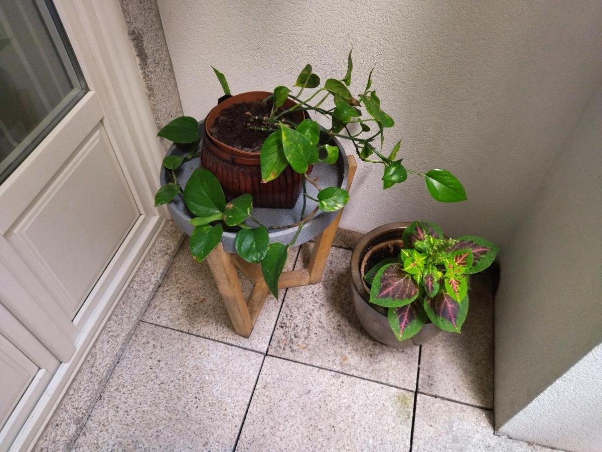 Santa Catarina Patio Apartment - With Washer Machine Πόρτο Εξωτερικό φωτογραφία